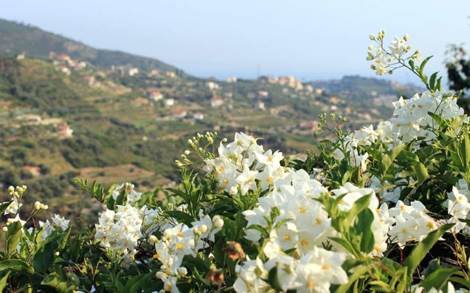 Agriturismo Da Lui Bordighera Ngoại thất bức ảnh